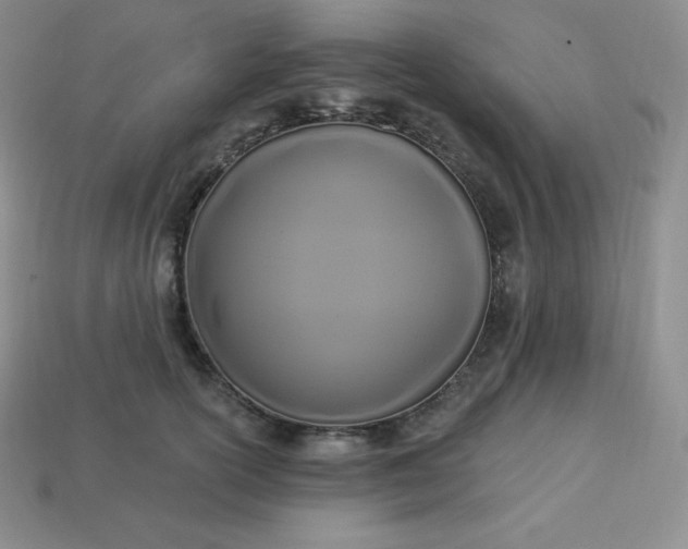 X0000113920754200910090936