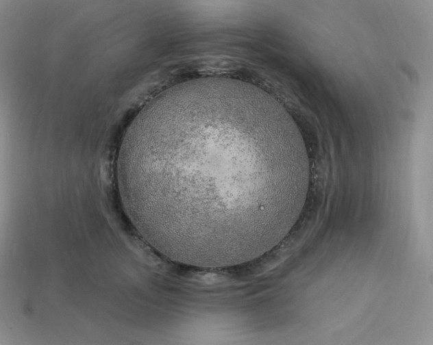 X0000113920755200910090936