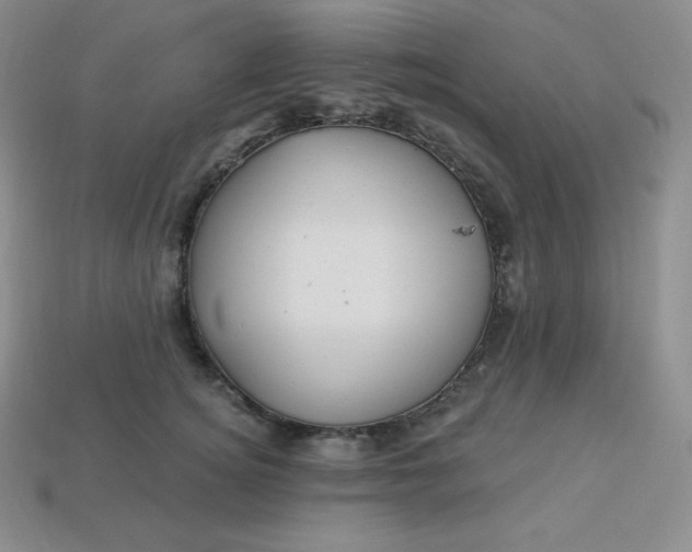 X0000113920756200910090936