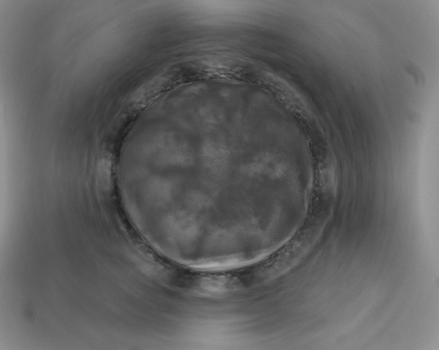 X0000113920757200910090936