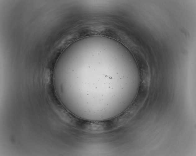 X0000113920758200910090936
