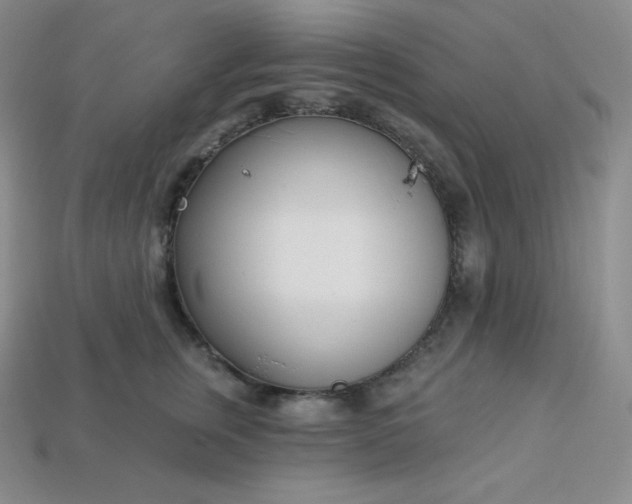 X0000113920759200910090936