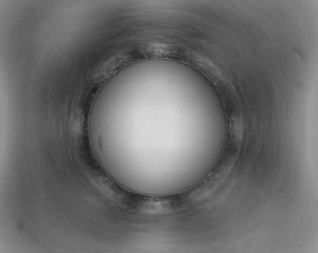 X0000113920760200910090936