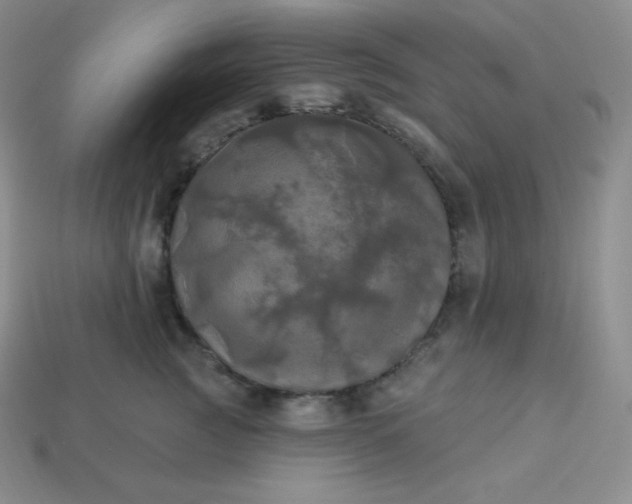 X0000113920761200910090936