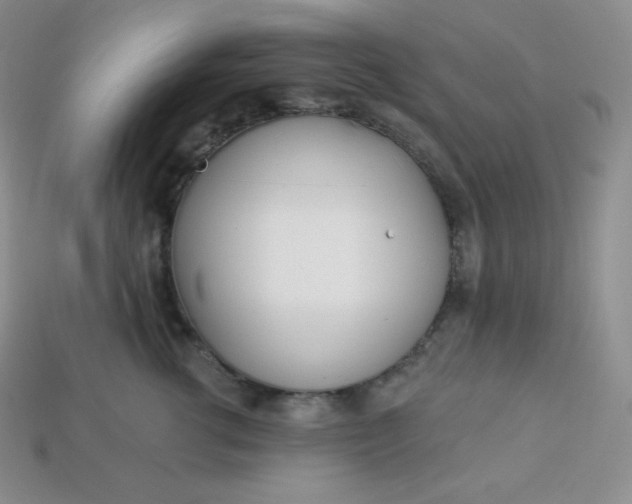 X0000113920762200910090936