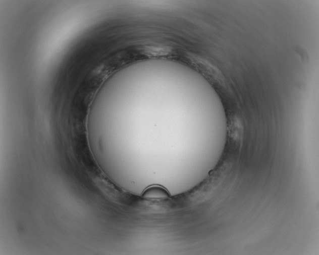 X0000113920763200910090936