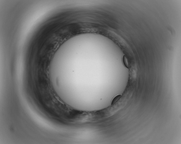 X0000113920764200910090936