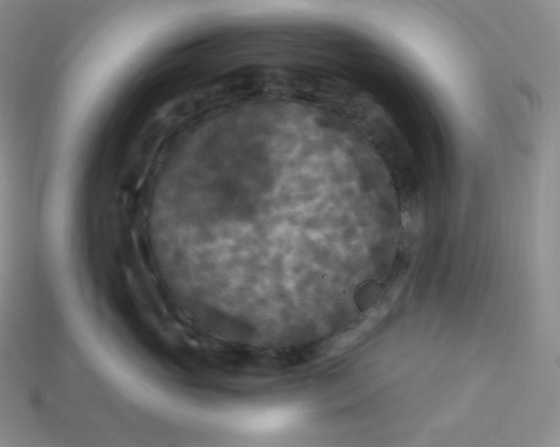 X0000113920765200910090936