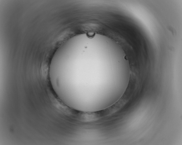X0000113920767200910090936