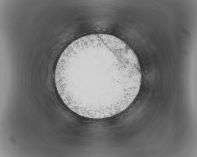 X0000113920769200910090935