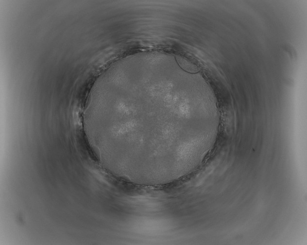X0000113920770200910090935