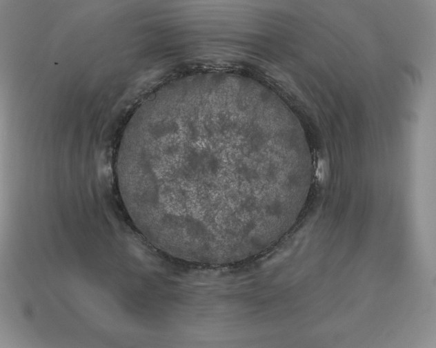 X0000113920771200910090935