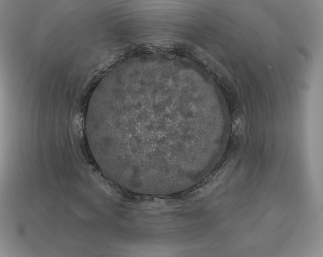 X0000113920772200910090935