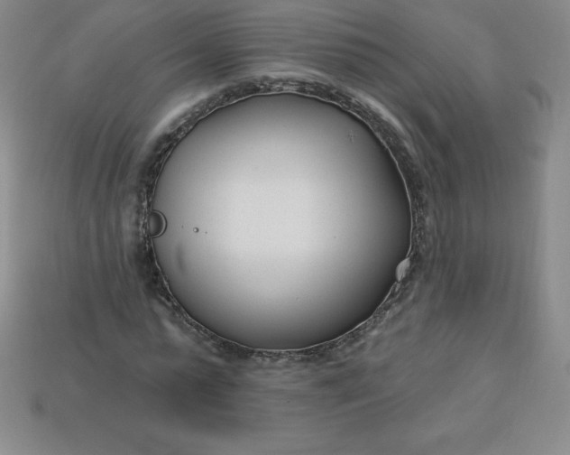 X0000113920775200910090935