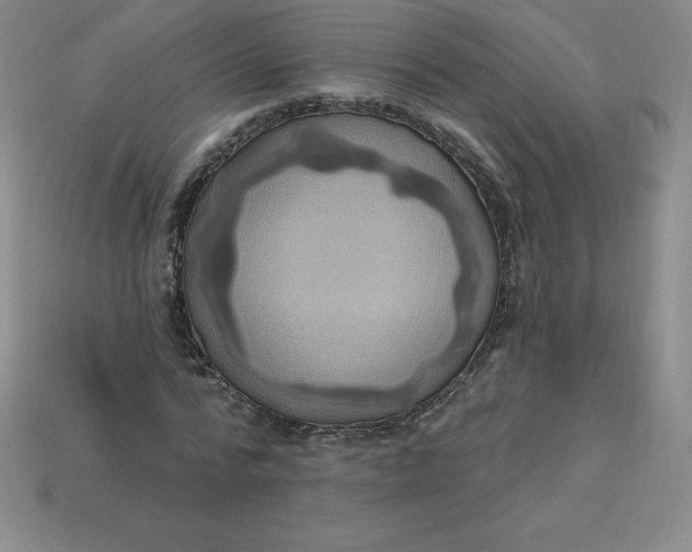 X0000113920776200910090935