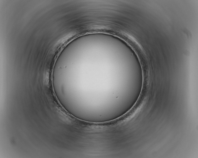 X0000113920777200910090935