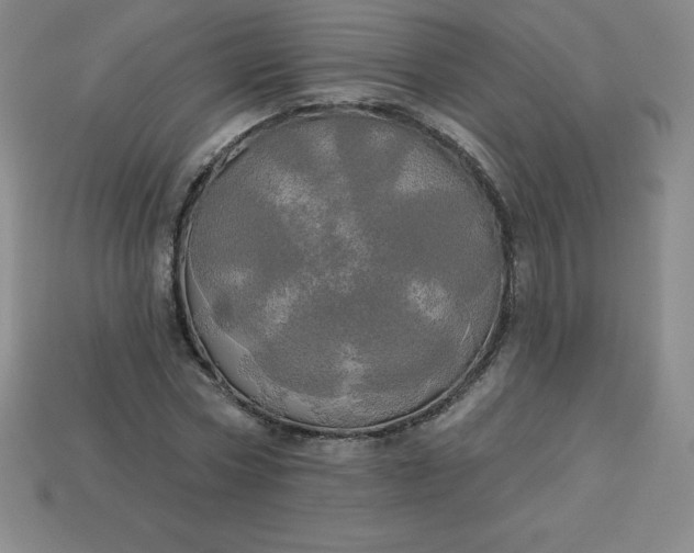 X0000113920778200910090935