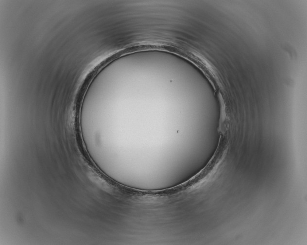 X0000113920779200910090935