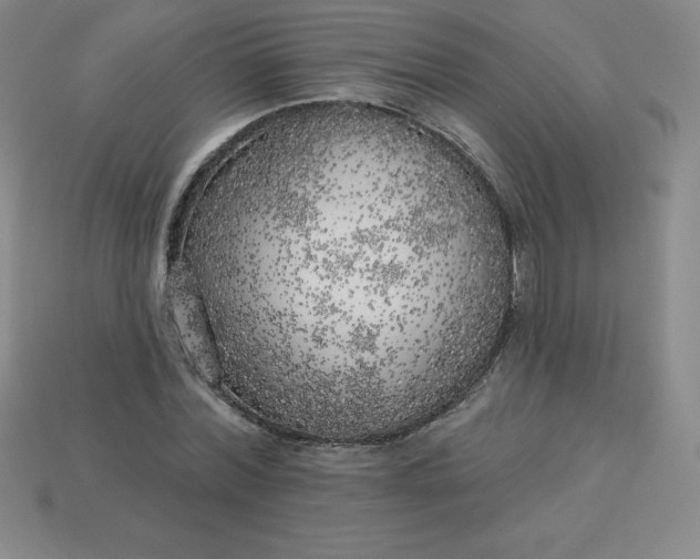 X0000113920780200910090935