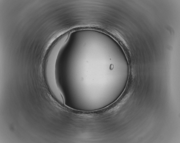 X0000113920781200910090935