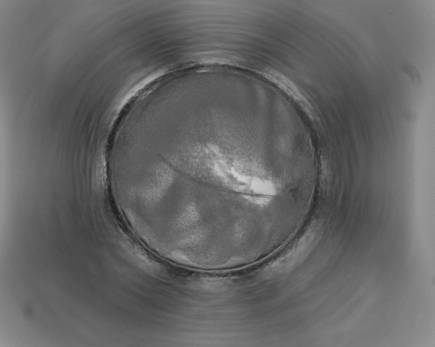 X0000113920782200910090935