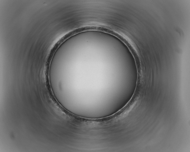 X0000113920783200910090935
