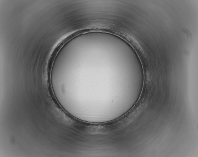X0000113920784200910090935