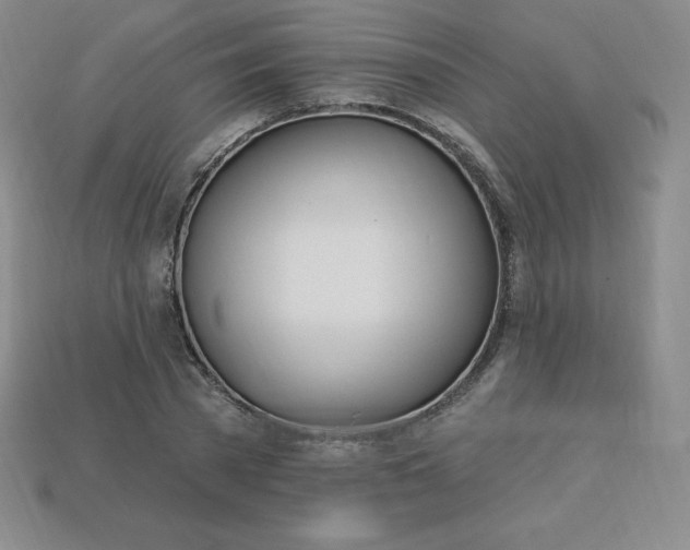 X0000113920785200910090935