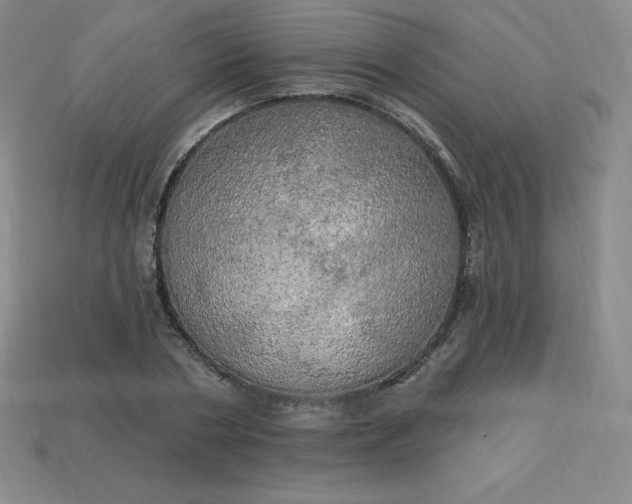 X0000113920786200910090935