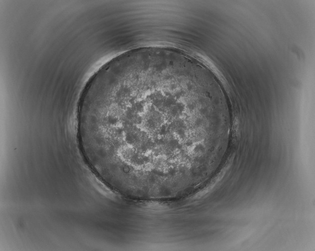 X0000113920787200910090935