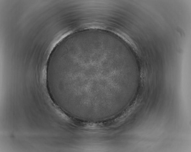 X0000113920790200910090935