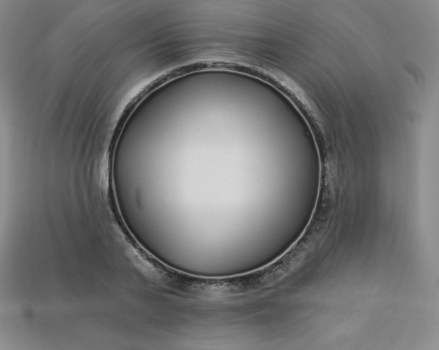 X0000113920791200910090935
