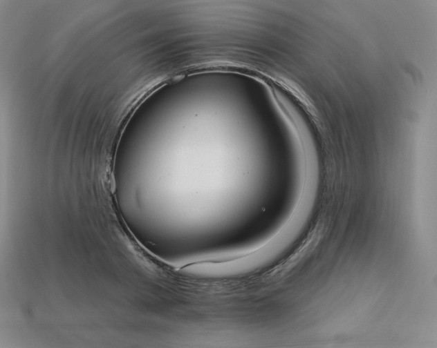 X0000113920793200910090935