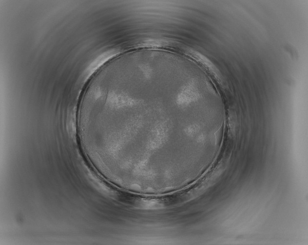 X0000113920794200910090935