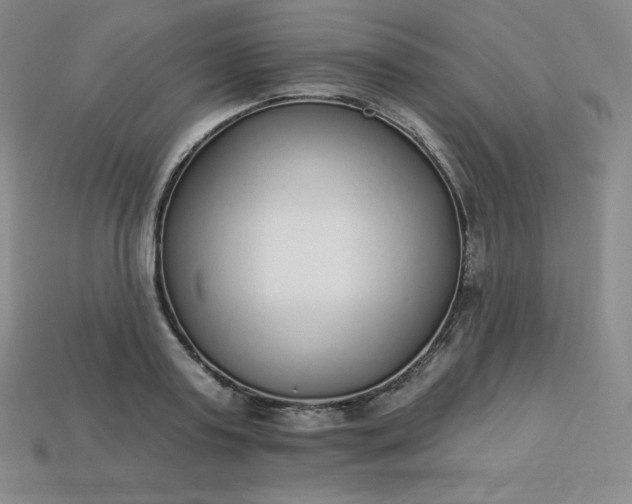 X0000113920795200910090935