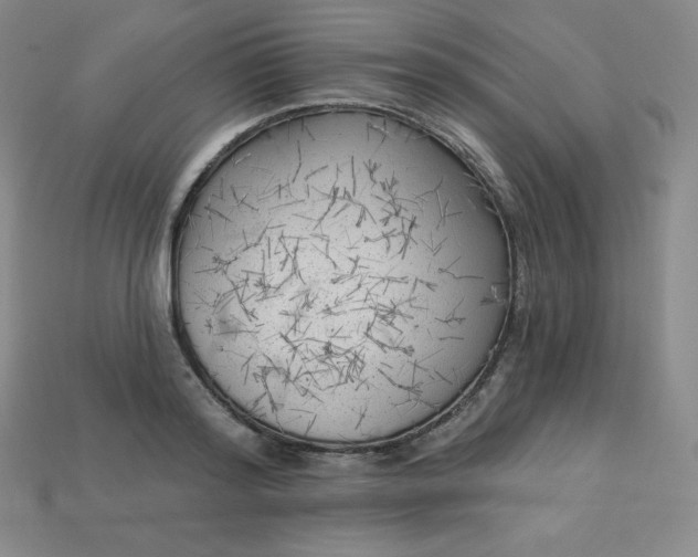 X0000113920796200910090935