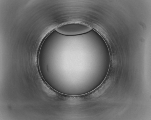 X0000113920797200910090935