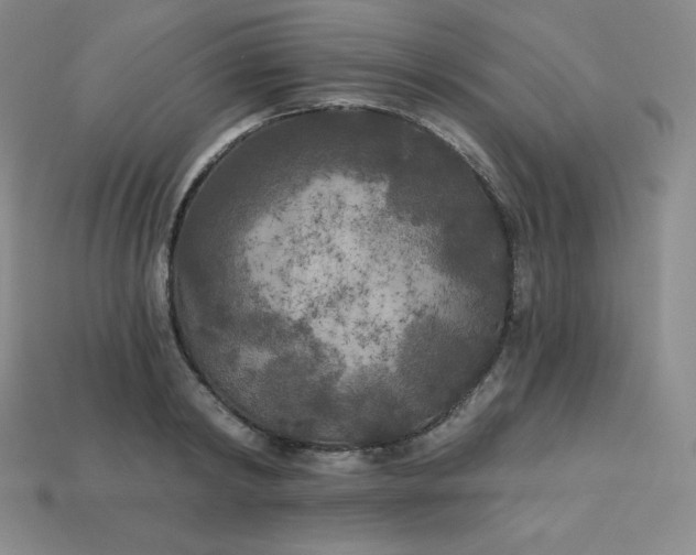 X0000113920798200910090935
