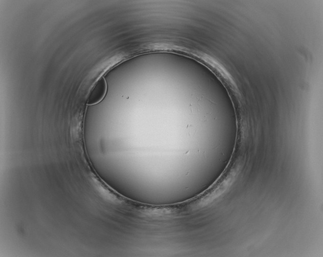 X0000113920801200910090935