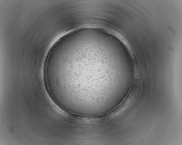 X0000113920803200910090935