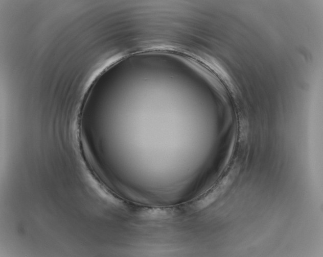 X0000113920806200910090935