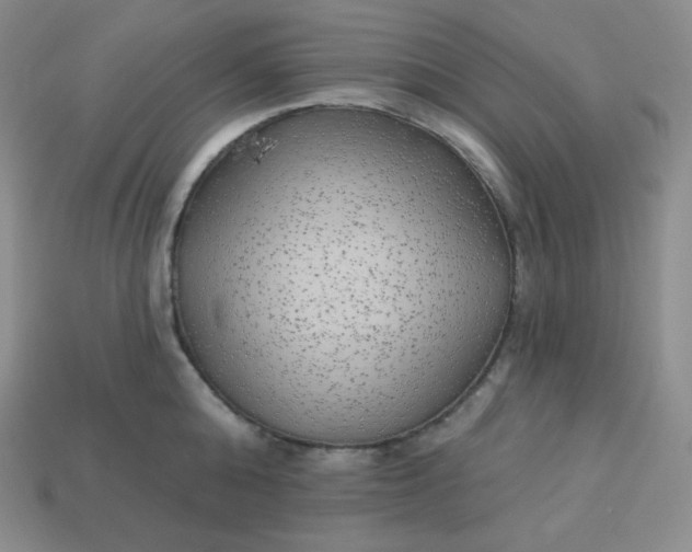 X0000113920808200910090935