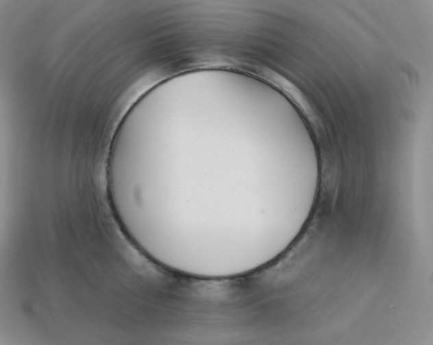 X0000113920810200910090935