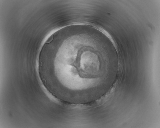 X0000113920811200910090935