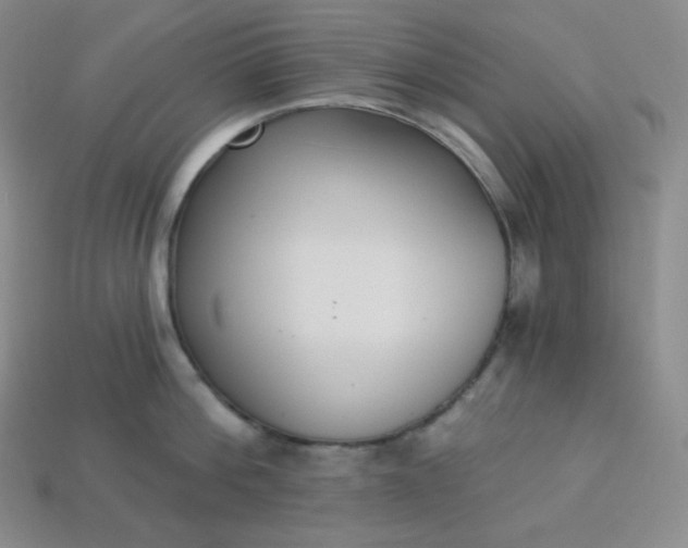 X0000113920812200910090935