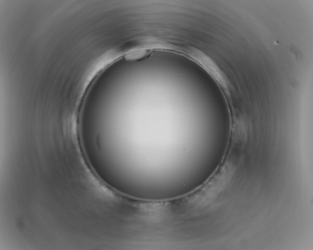 X0000113920813200910090935