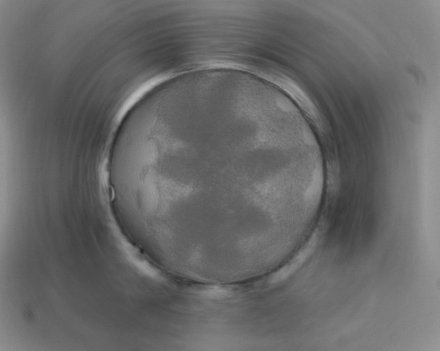 X0000113920814200910090935
