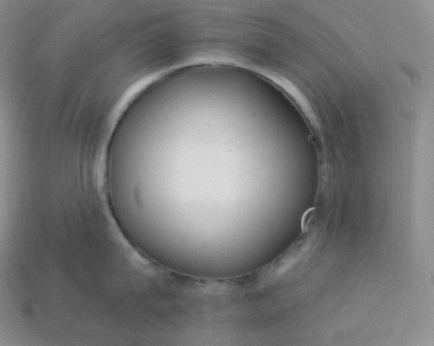 X0000113920815200910090935
