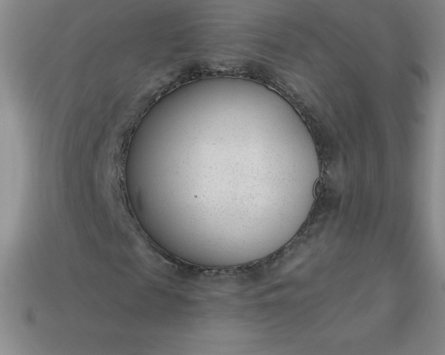 X0000113920817200910090934