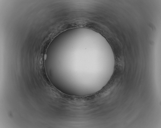 X0000113920818200910090934
